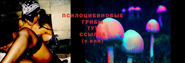 стафф Абинск