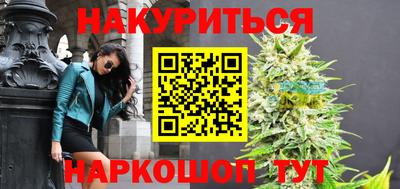 сатива Моздок