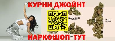сатива Моздок