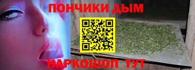 сатива Моздок
