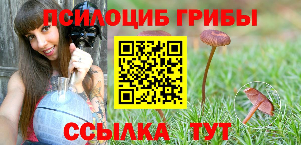 Орск  Псилоцибиновые грибы мицелий  Вход с VPN  Псилоцибиновые грибы Psilocybe 