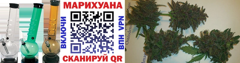 где купить   Орск  нарко площадка формула  Шишки марихуана White Widow 
