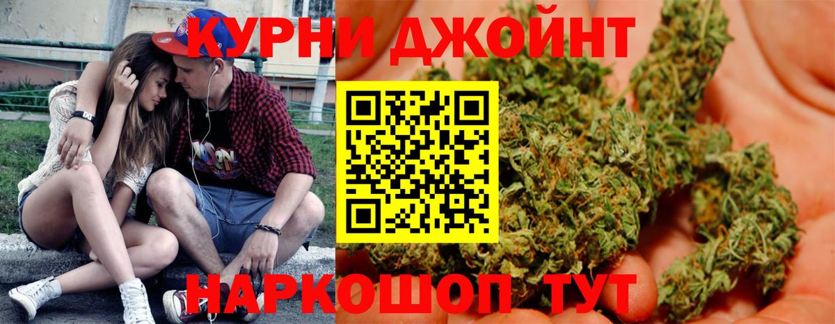 Канабис сатива Орск